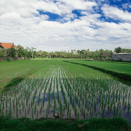 Canang Sari House Ubud  Luaran gambar
